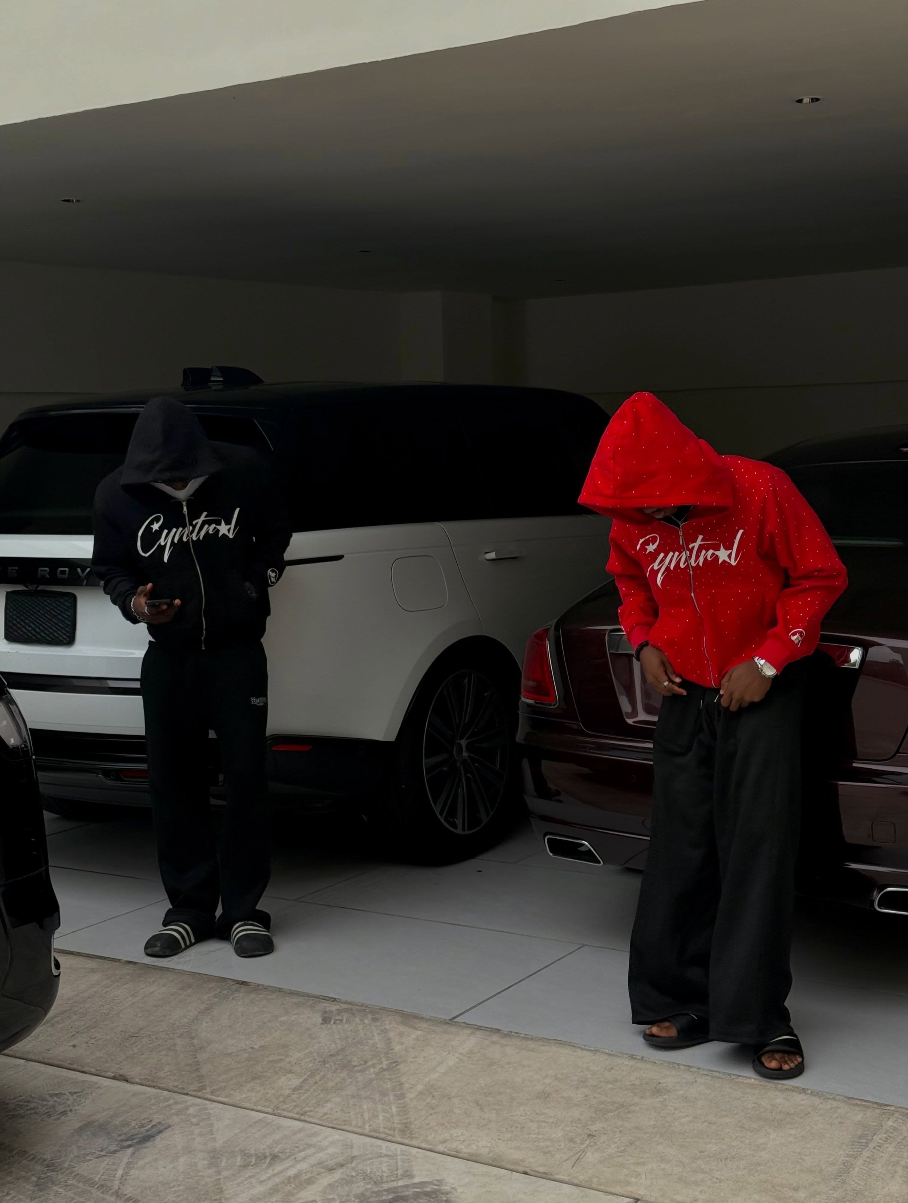 Cyntral duo beside SUV in garage
